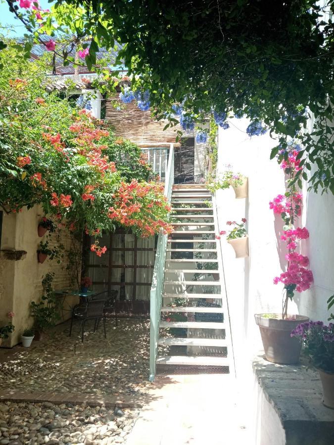 Patio Del Limonero Daire Cordoba Dış mekan fotoğraf