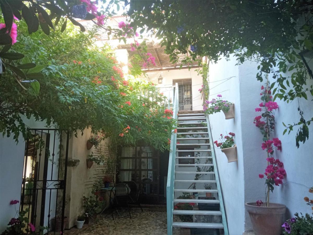 Patio Del Limonero Daire Cordoba Dış mekan fotoğraf