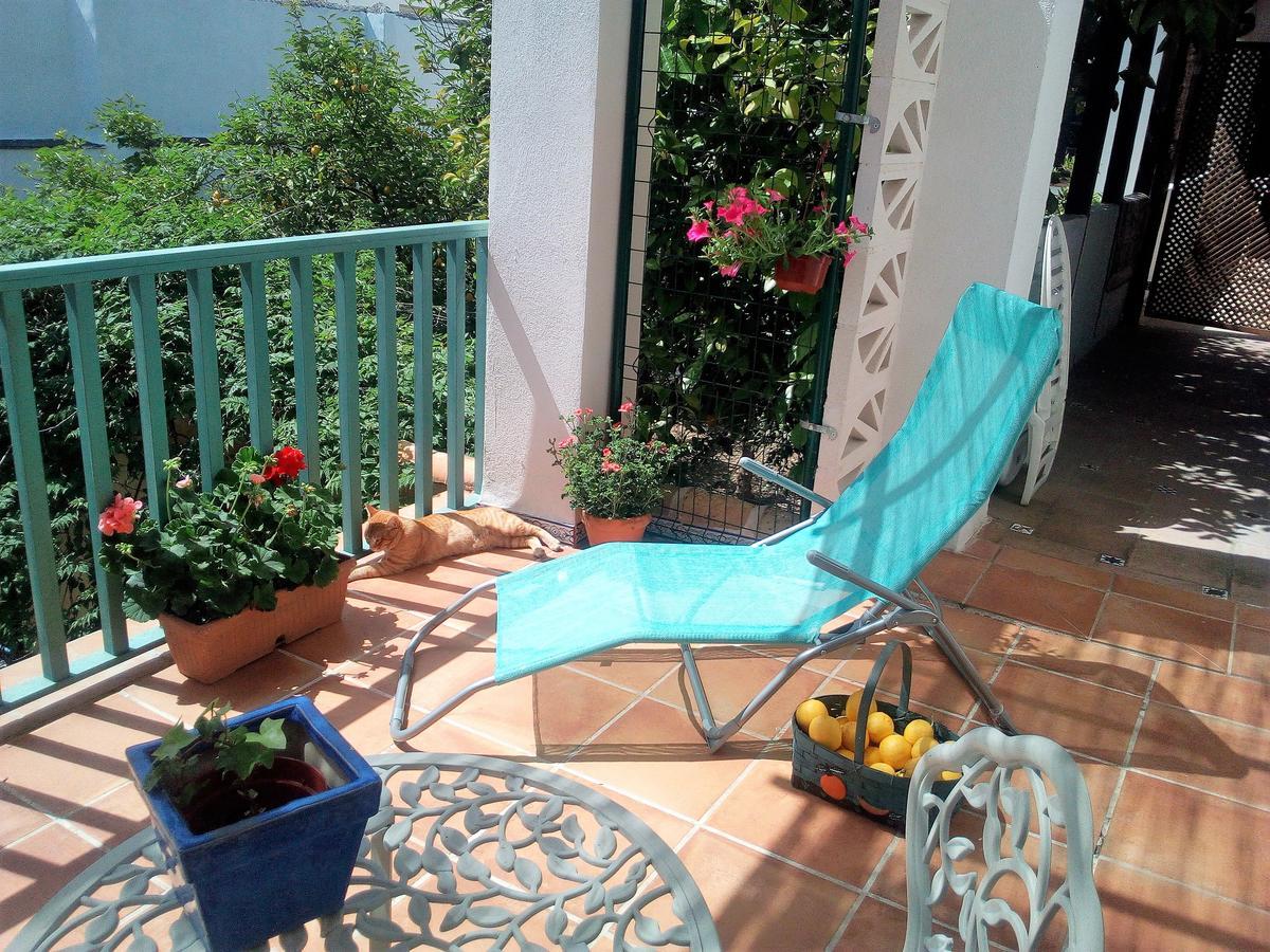Patio Del Limonero Daire Cordoba Dış mekan fotoğraf